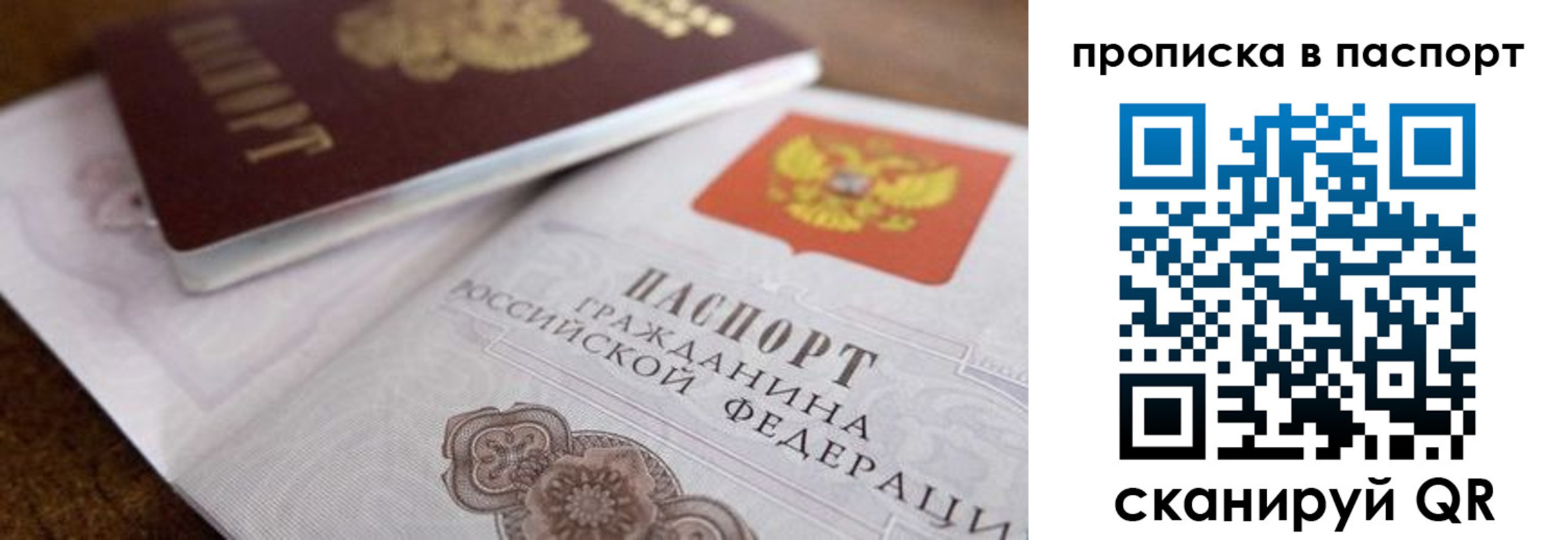 где прописаться в Светогорске